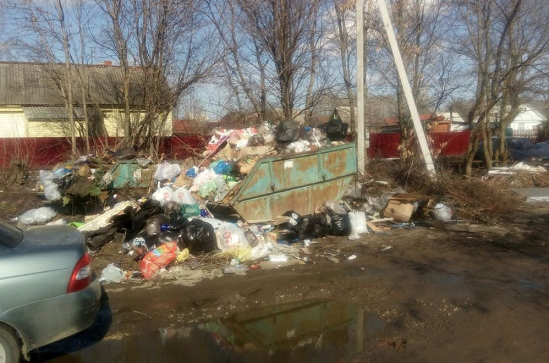В Пензенской области город Сердобск утопает в мусоре. Фото